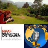 National Parks Arts Foundation Artist Residencies - Tanya Ortega on Big Blend Radio