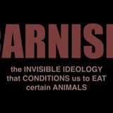 Carnism Is An Invisible Belief System
