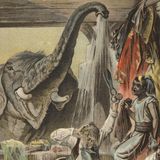 The Elephant and the Tailor