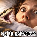 Woman Felt Something Heavy on Her Chest; She Discovered It Wasn't The Dog!