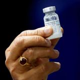 Cofepris, autoriza vacuna india Covaxin