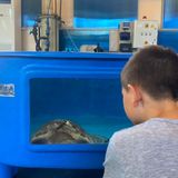 #Napoli Pianeta Mare Film Festival: l'ultima dal museo Darwin-Dohrn
