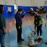 Animali “terapeuti”, sorrisi d’amicizia tra Anffas e scuole all’insegna della condivisione