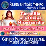 🔴 CORONILLA A LA DIVINA MISERICORDIA DE HOY LUNES 25 DE NOVIEMBRE DEL 2024. 🙏