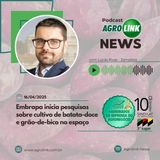 Portos do Paraná têm alta de 6% nos embarques