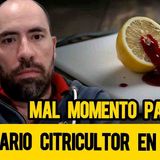 Mal momento para ser empresario citricultor en Mexico | 23/10/25 Live 1/4 de Milla