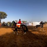 Jeunes Jokers : parcours, rôles et avantages au festival Dokin Iska (Tous à la Fada)