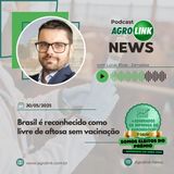 Clima adverso não impede safra recorde de milho no Paraná