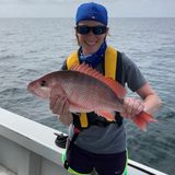 Amanda Nalley - FWC - Red Snapper