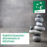 #01 – Stabilité financière : déterminants et définitions