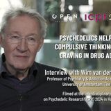 WIM VAN DEN BRINK | Psychedelics help reduce compulsive thinking, such as craving in drug addiction