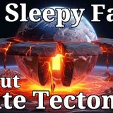 100 Most Relaxing Facts About Sleep to Fall Asleep To