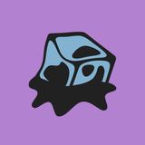 ICE: la verità vera