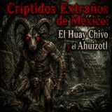 Críptidos Extraños de México: El Huay Chivo y el Ahuizotl