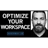 Optimizing Workspace for Productivity, Focus, & Creativity