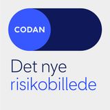 Det nye riskobillede (trailer)