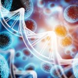 Exosomes vs Stem Cells: The Cellular Race for Faster Tissue Healing