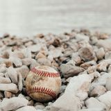 Fans of the Athletics