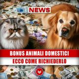 Bonus Animali Domestici: Ecco Come Richiederlo!