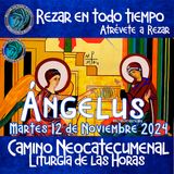 ANGELUS DEL DIA DE HOY MARTES 12 DE NOVIEMBRE 2024, 🙏ORACION A NUESTRA MADRE 🌹LA VIRGEN MARIA 🙏.