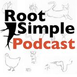 007 Chickens, Favorite Tools and Compost