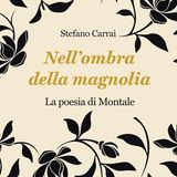 Stefano Carrai "Nell'ombra della magnolia"