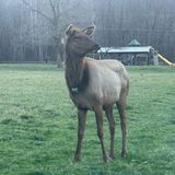 Accessing Effectual Supernatural Power! - SPIRITWARS FRONTLINES