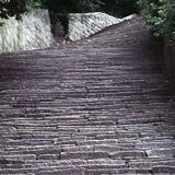 Ep. 330 Stairway to Death by Alice Baburek