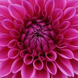 During Caregiving, What's Enough?