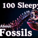 The Most Relaxing Fossil Facts to Fall Asleep To _ No Adverts