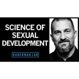 How Hormones Shape Sexual Development