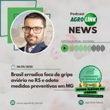 Brasil comunica à OMSA erradicação de foco de gripe aviária no RS