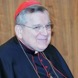 Destituire i vescovi tedeschi: la richiesta del cardinal Burke