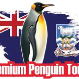 Premium Penguin Tours Offers the Best Way to See Penguins in the Falkland Islands