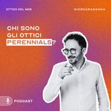 Chi sono gli ottici Perennials? - EP43