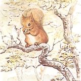 El cuento de la ardilla loca | Cuentos de Animales