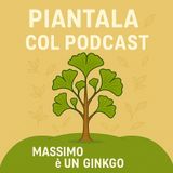 EP2 -pilot- Massimo è un Ginkgo
