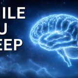 What Your Brain Does While You Sleep _ The Sleepy Scientist