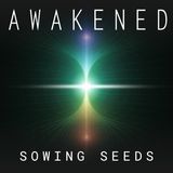 Sowing Seeds: Spiritual Ancestors, Demonic Attack, Jesus' Love, Toroidal Universe, Merkabah Orbs, & Awakening w/ Lindsey Scharmyn