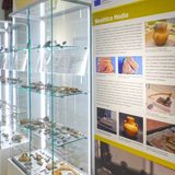 Il Museo archeologico di Gazoldo degli Ippoliti (Mantova) è per tutti!