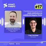 17 - Fundamentos para uma visão sistêmica na cadeia de supply chain