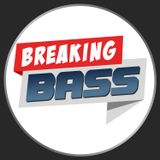 Breaking Bass #01 – Arrivano i Rickenbacker? Gear & News dal mondo del basso