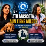 NUESTRO OXÍGENO-¿Tu mascota aún tiene miedo?