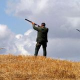 Zanoni all’attacco: “Veneto e Italia mattatoi a cielo aperto, vogliono sterminare la fauna selvatica”