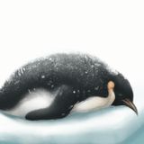 De Luie Pinguïn | Verhalen over Antarctica
