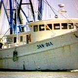 Hydrated Harvest - Shrimp Trawling, Clam Scratching And Oyster Extraction