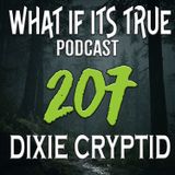 Archive 207 Bigfoot Only