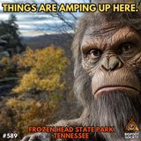 Bigfoot Encounters of East Tennessee!