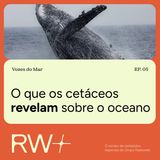 Vozes do Mar: baleias revelam sinais de alerta nos oceanos
