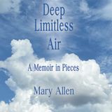 Mary Allen - The Deep Limitless Air , A Memoir in Pieces